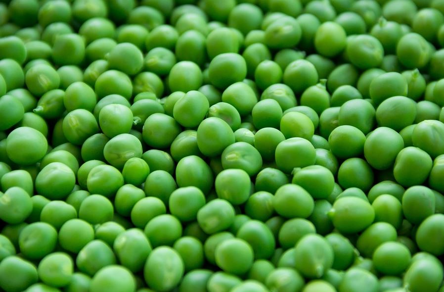 guisantes menestra verduras