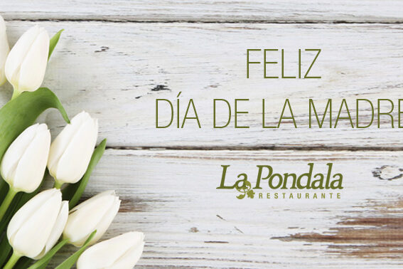 feliz día de la madre