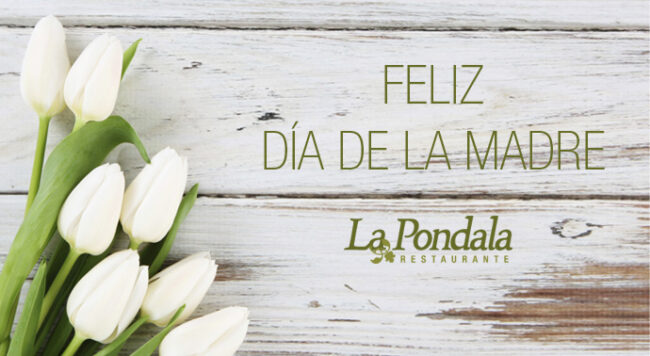 feliz día de la madre