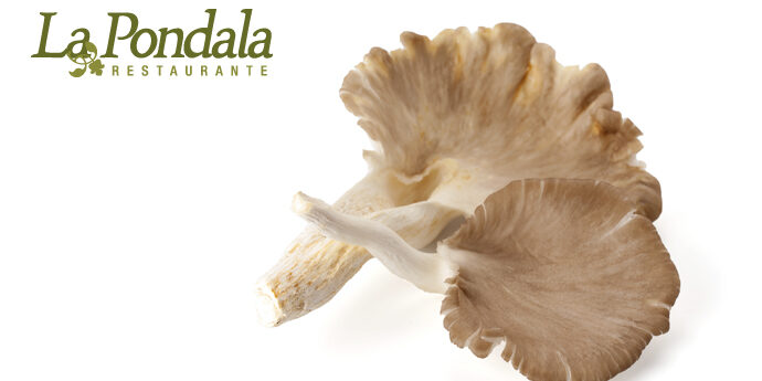 1414136735-setas690x378 setas