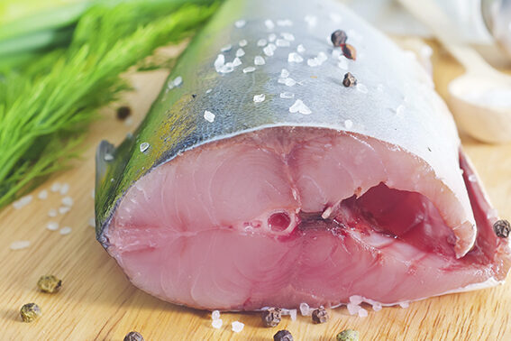 temporada de bonito en el cantabrico