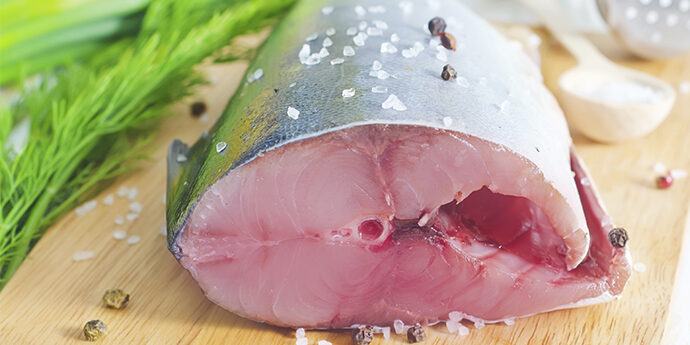 temporada de bonito en el cantabrico