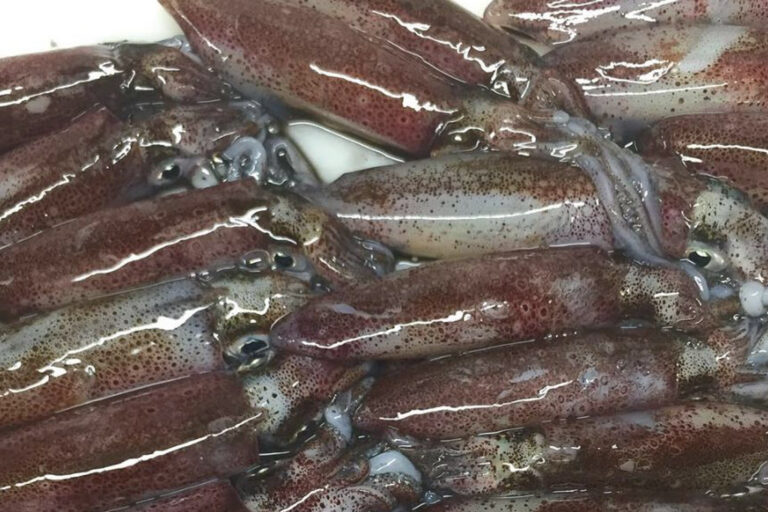 Chipirones La Pondala