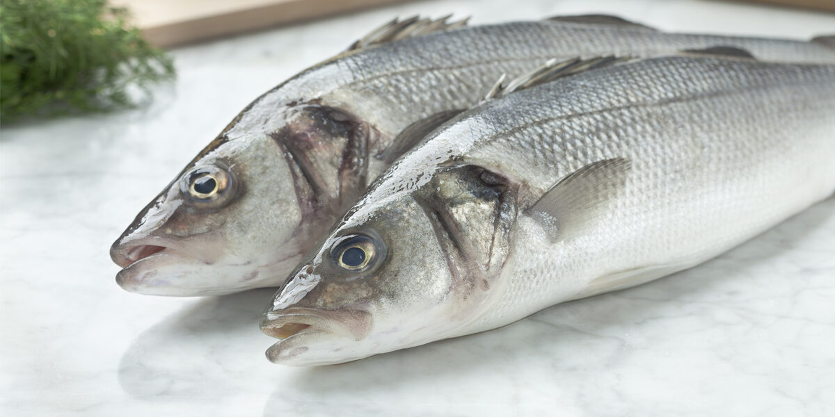 Lubina fresca