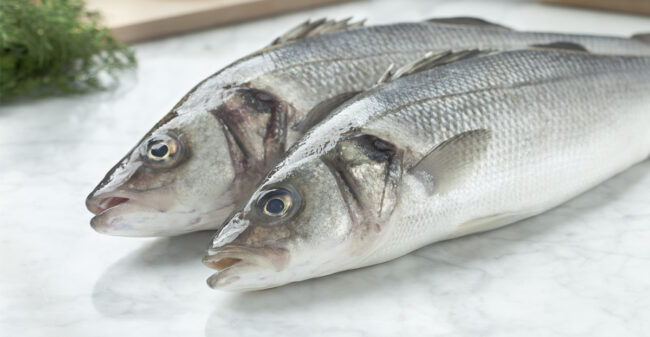 Lubina fresca