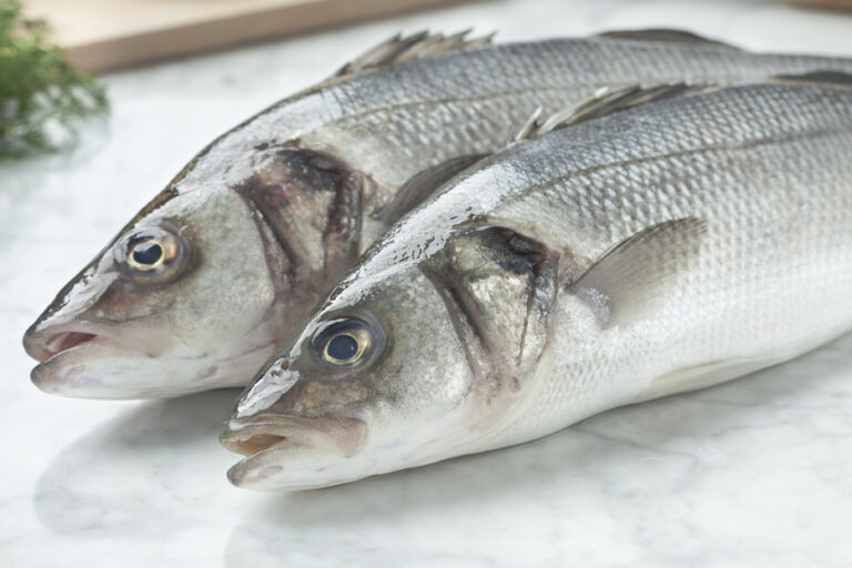 Lubina fresca