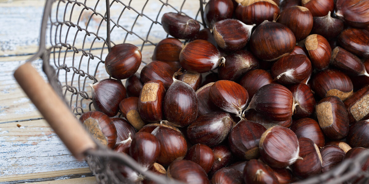 Castañas