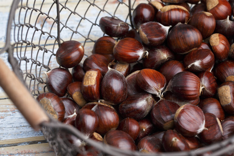 Castañas