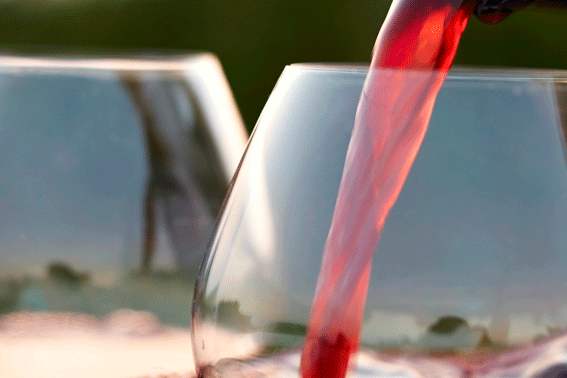 los 5 mejores vinos en el restaurante la pondala