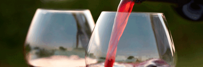 los 5 mejores vinos en el restaurante la pondala