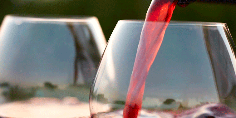 los 5 mejores vinos en el restaurante la pondala