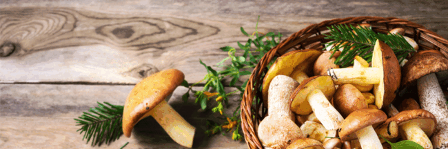 comer setas en gijon la pondala