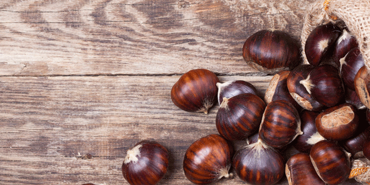 castanas restaurante gijon castanas restaurante gijon-la-pondala