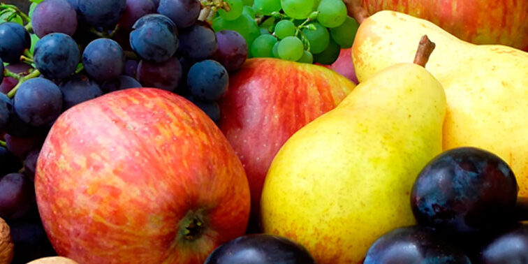 fruta de temporada de otono en nuestro restaurante clasico y tradicional de gijon