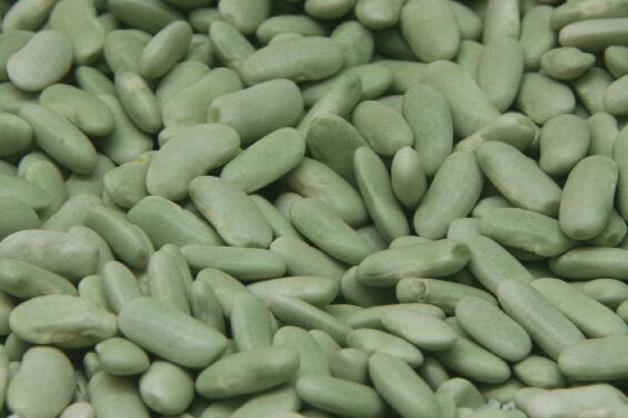 verdinas con centollo y langostino comida asturiana gijon