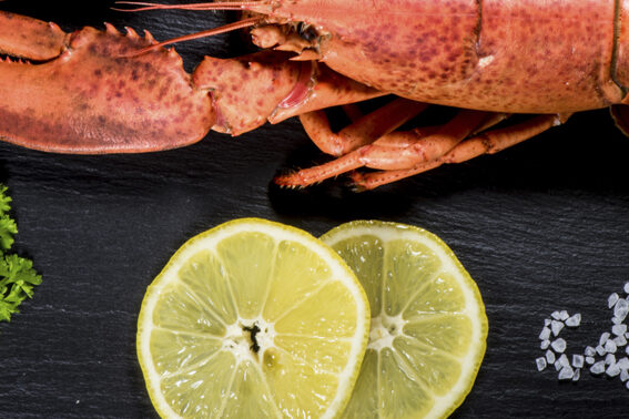 donde comer buen marisco en gijon