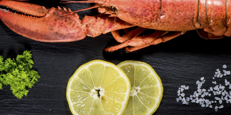 donde comer buen marisco en gijon donde comer buen marisco en gijon