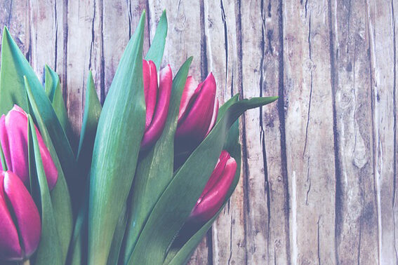 dia de la madre la pondala