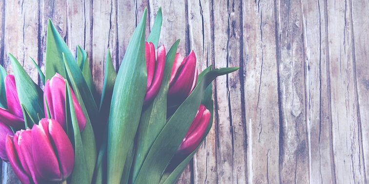 dia de la madre la pondala